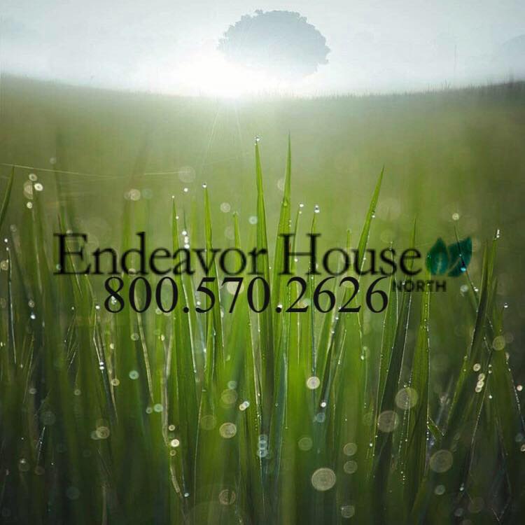 Endeavor House North