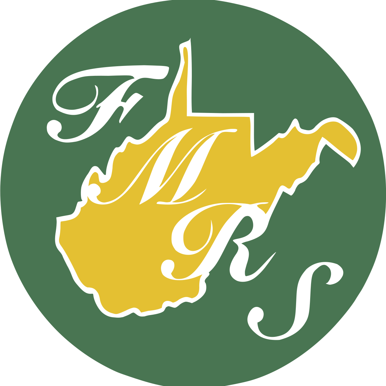 FMRS Health Systems Inc