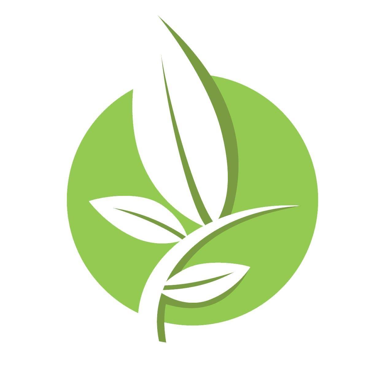 Lumiere Detox Center