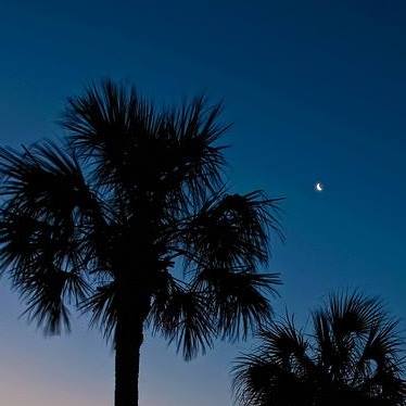 Beaufort County Alcohol/Drug Abuse Dep
