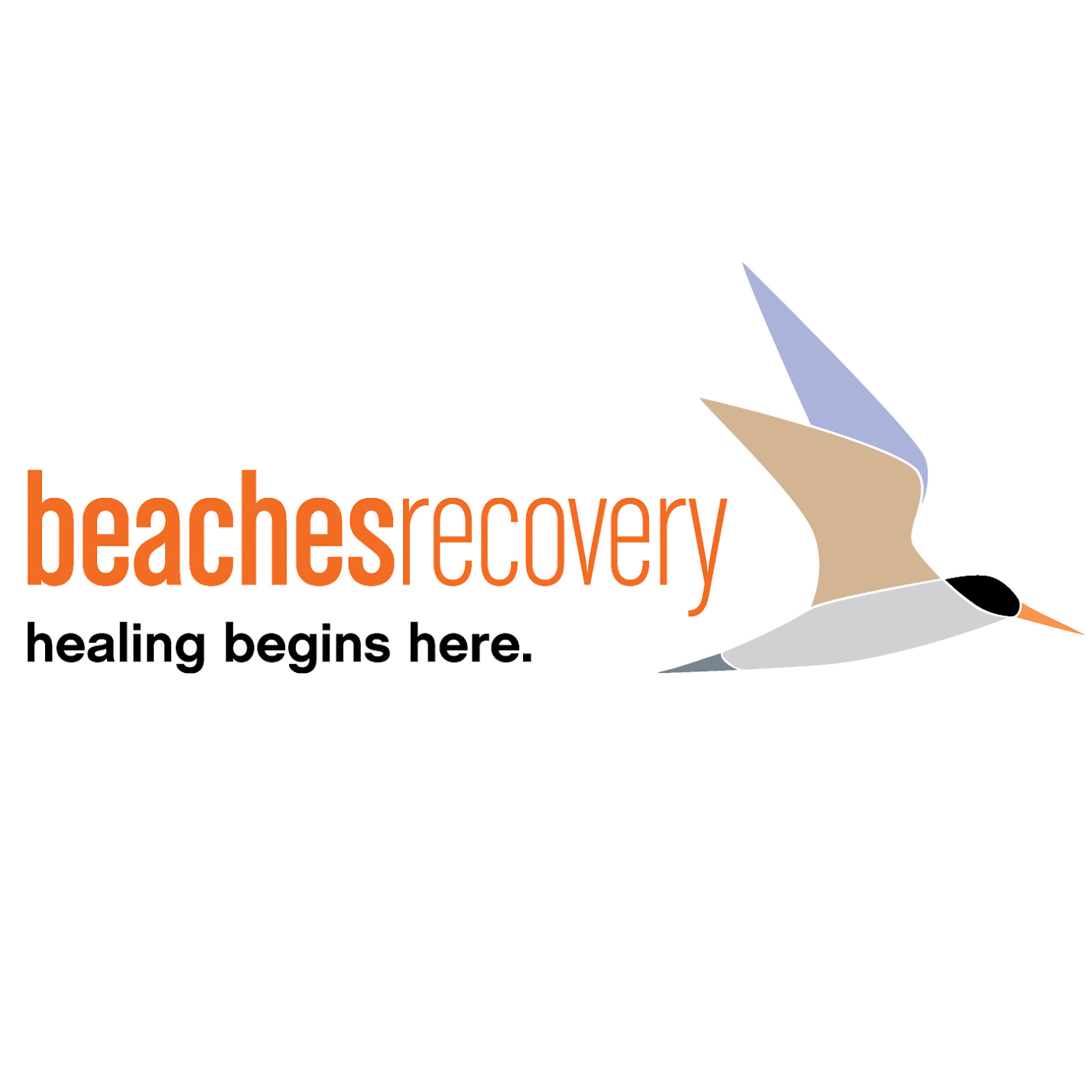 Beaches Recovery Services