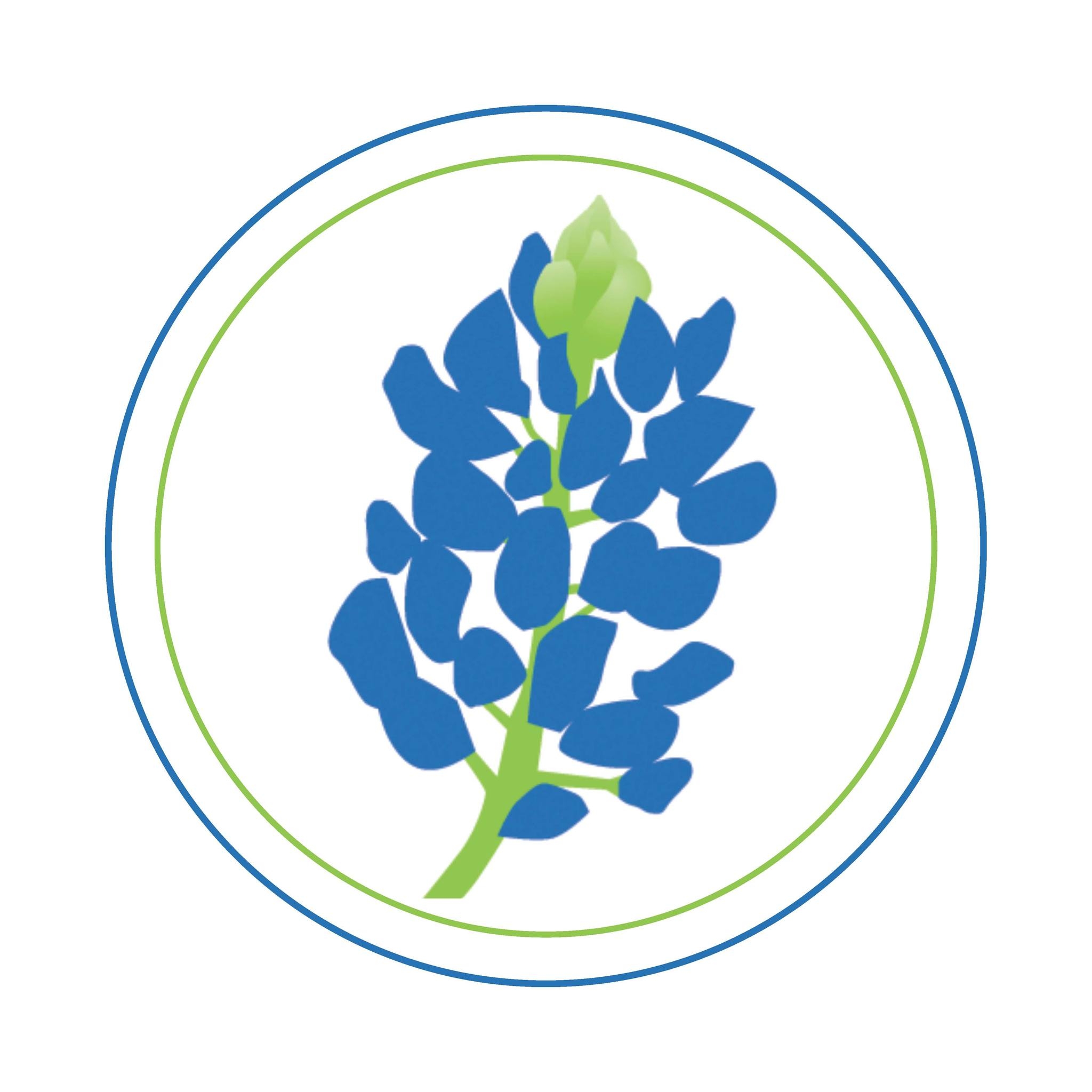 Bluebonnet Trails Community Services Bluebonnet Trails Recovery