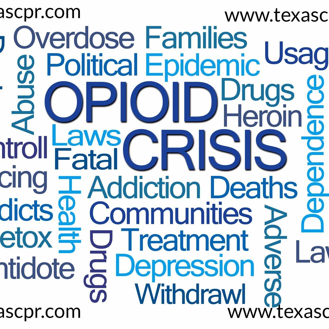 Cease Addiction Now Inc