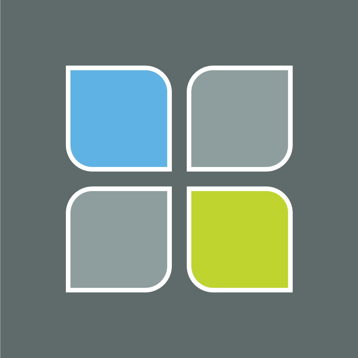 Chestnut Health Systems Inc