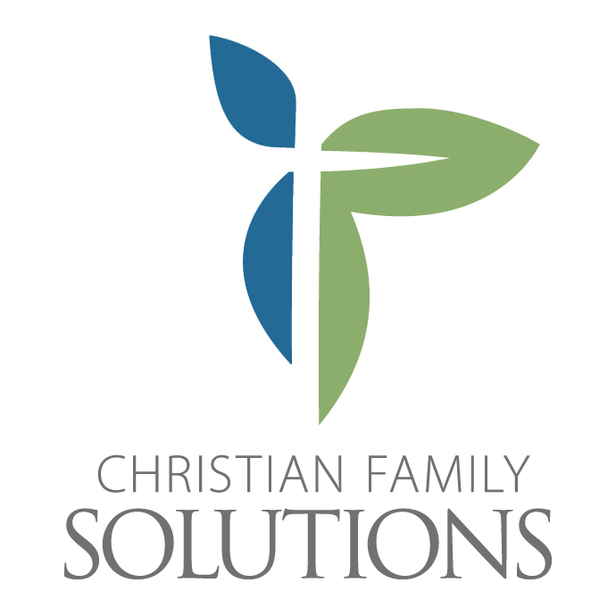 WI Lutheran Child and Fam Servs Inc DBA Christian Family Solutions